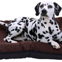 In-und-Outdoor-Hundebett-XXL-117-x-86cm-Braun-Eckig-Wasserdicht-Hundesofa-Hundekorb-0