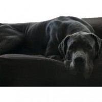 tierlando-S5-02-SAMMY-Extra-ROBUST-Hundesofa-Hundebett-Gr-XXL-140cm-GraphitGrau-0-0