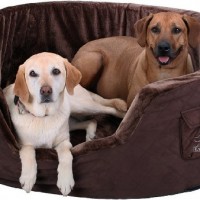 Knuffelwuff-Hundebett-aus-5cm-Schaumstoff-M-L-80-x-60cm-Braun-0-3