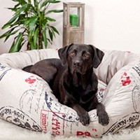 Knuffelwuff-Kuschliges-Hundebett-mit-zwei-Funktionen-L-80-x-80cm-Elemente-Rot-0