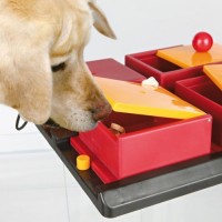 Trixie-32012-Dog-Activity-Poker-Box-Hundespielzeug-31–10–31-cm-0-2