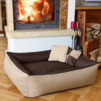 BedDog-2in1-Hundebett-MAX-QUATTRO-L-bis-XXL-5-Farben-whlbar-Hundekissen-Hundesofa-Hundekorb-0-3