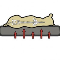 Hundekissen-Ortho-Bed-mit-Visco-Innenkern-Eckig-S-L-grau-Hundeliegekissen-Gesundheitskissen-Hundebett-0-2