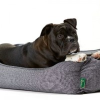 Hunter-61430-Hundesofa-Boston-M-Aussenflche-85-x-65-x-24-cm-Innenkissen-67-x-47-cm-grau-0-1