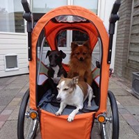 InnoPet-Sporty-Trailer-AT-hochwertiger-Fahrradanhnger-fr-Hunde-wandelbar-in-Hundebuggy-0-3