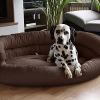 Knuffelwuff-Hundesofa-115-x-100cm-Hundebett-Hundekorb-XXL-0