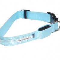 LED-Halsband-Hundehalsband-Gre-M-BLAU-inkl-Batterien-3-verschiedene-Leucht-Modi-0-0