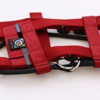 Original-Illusion-Collar-Trainingshalsband-Leine-des-amerikanischen-Hundeflsterer-Cesar-Millan-Gre-Mrot-0-8