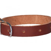 Plain-Leder-Hundehalsband-aus-Leder-Bull-100-echtes-Leder-Handmade-55cm-x-3cm-x-5mm-Big-Basic-Halsband-fr-groe-Hunde-0-0