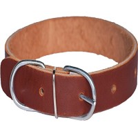 Plain-Leder-Hundehalsband-aus-Leder-Bull-100-echtes-Leder-Handmade-55cm-x-3cm-x-5mm-Big-Basic-Halsband-fr-groe-Hunde-0