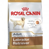 Royal-Canin-35298-Breed-Labrador-Retriever-12-kg-0