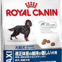 Royal-Canin-Hundefutter-Maxi-Sterilised12-kg-1er-Pack-1-x-12-kg-0