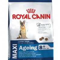 Royal-Canin-Size-Maxi-Ageing-8-1er-Pack-1-x-1527-kg-0