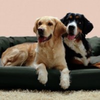 tierlando-A2-02-ARES-Extra-ROBUST-Hundesofa-Hundebett-Gr-XXL-140cm-Graphit-0-0